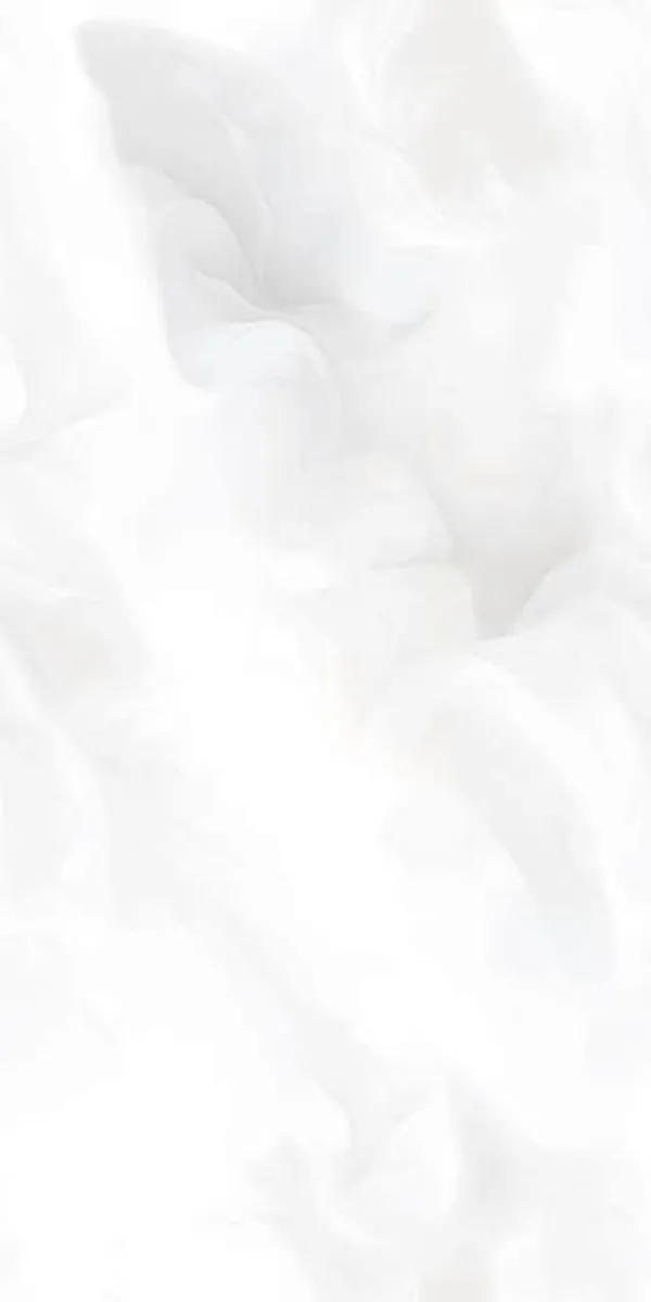 Glossy Finish FOGG-SILVER GVT 600x1200mm